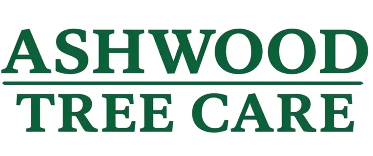 Ashwood Tree Care Ltd