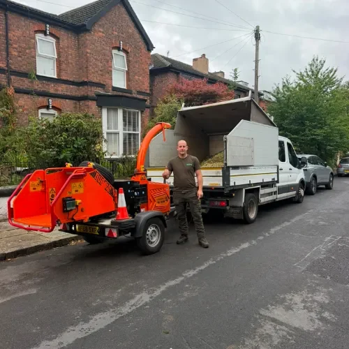 Tree Surgery project by Ashwood Tree Care Ltd in Liverpool